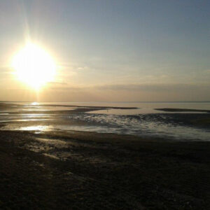 Am Wasser Gebaut