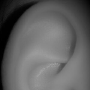 Audimaxx