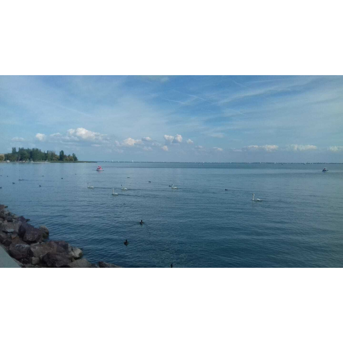 Balaton
