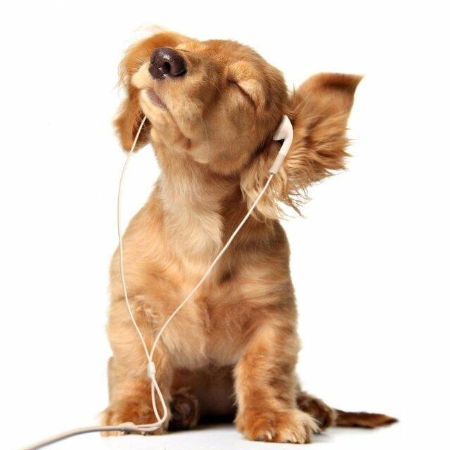 laut.fm – Best Of 90s