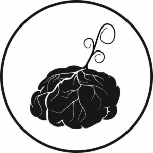 Brainflowermedia
