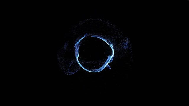 Drumandbass FM