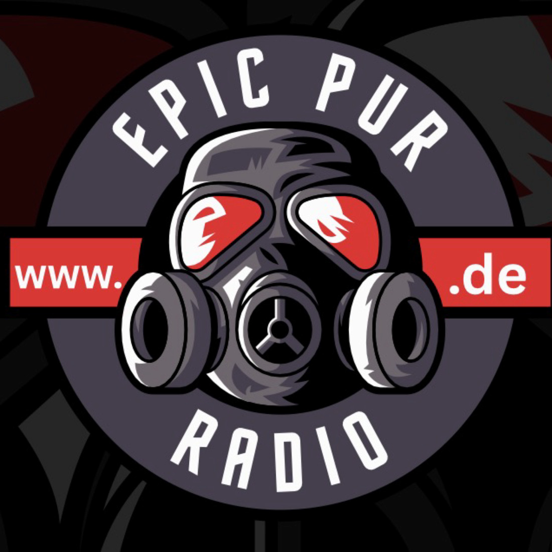 Epic Pur Radio