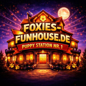 Foxies Funhouse