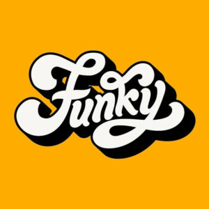 Funky Disco Hits