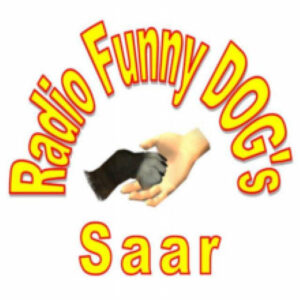 Funny Dogs Saar