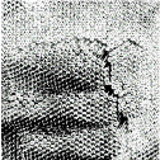 laut.fm – Greyarea