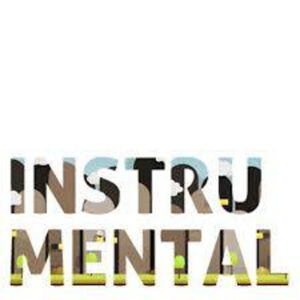 Instrumental