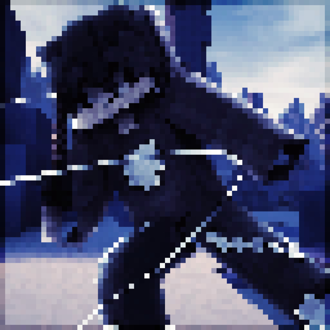 Intothegame
