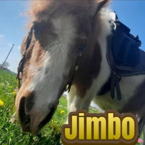 jimbo