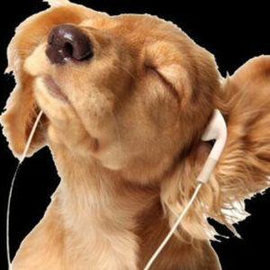 laut.fm – 90erhits