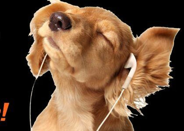 laut.fm – 90erhits