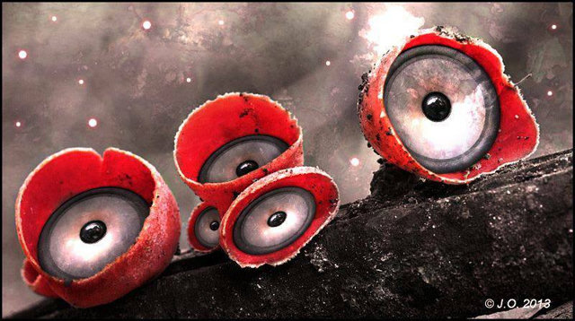 laut.fm – Metalhead
