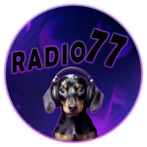 Mix 4 Fun Radio