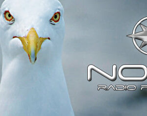 Nosw Podcast
