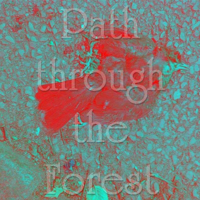 laut.fm – Path Through The Forest