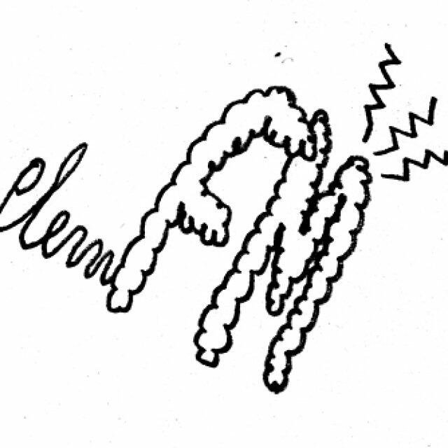 laut.fm – Plem FM