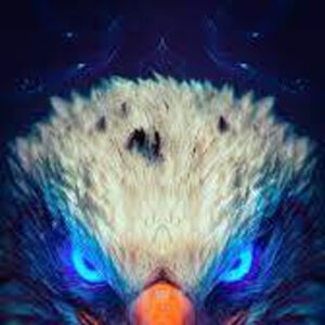 Radio Seeadler