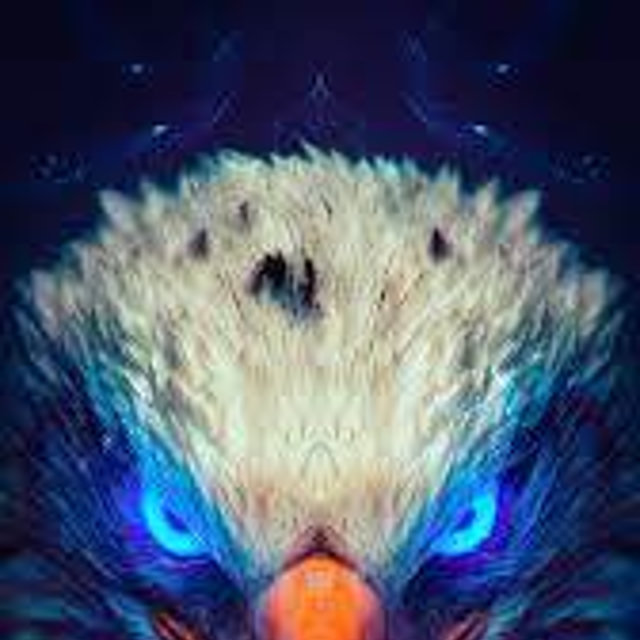 Radio Seeadler