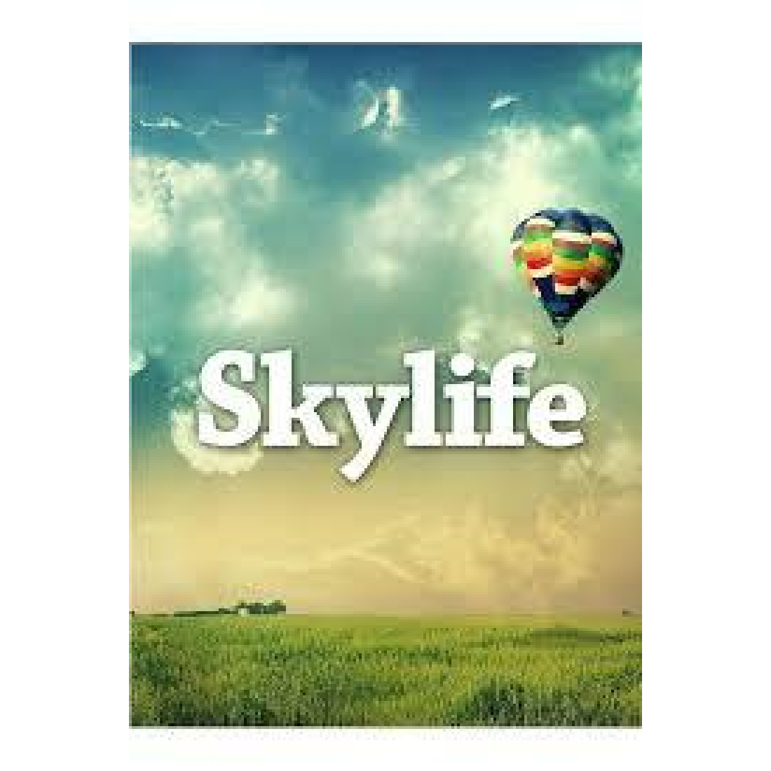 laut.fm – Skylife