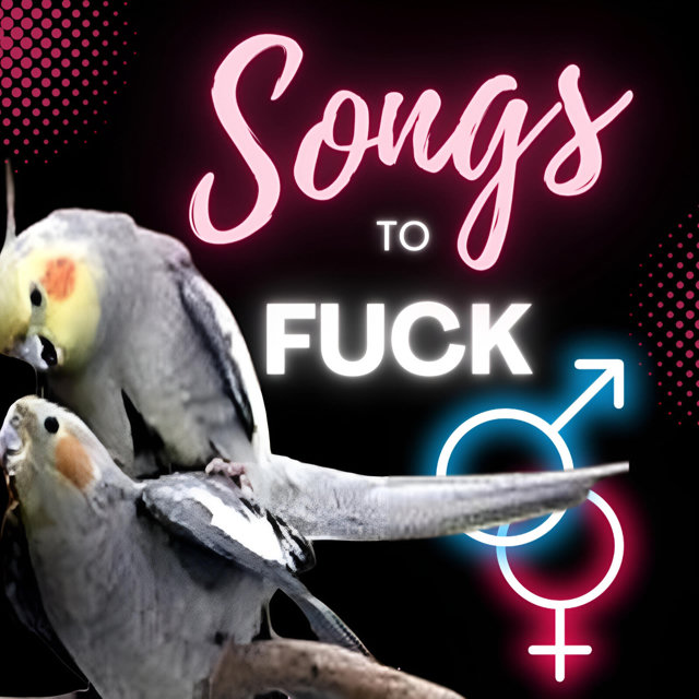laut.fm – Songs To Fuck