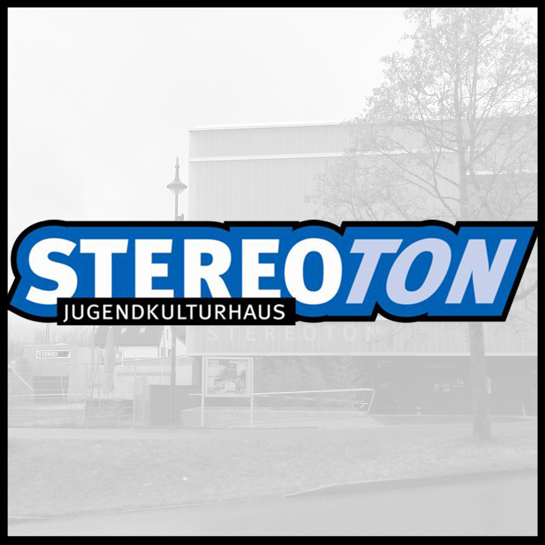 Stereoton