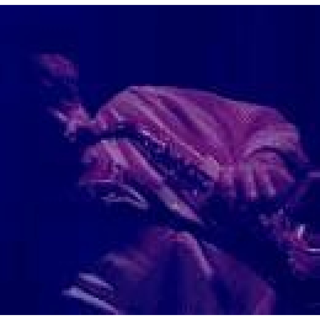 laut.fm – Swmr