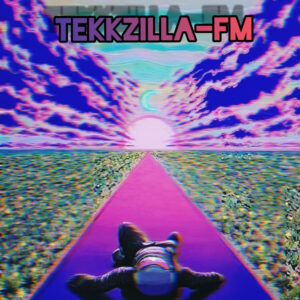Tekkzilla FM
