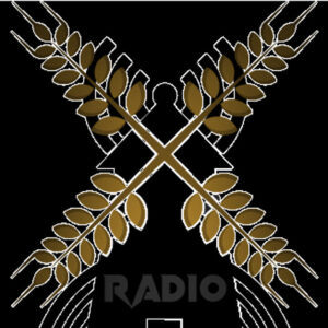 V FM
