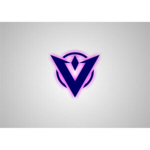 Venture