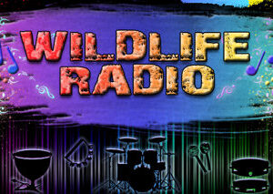Wildlife Radio