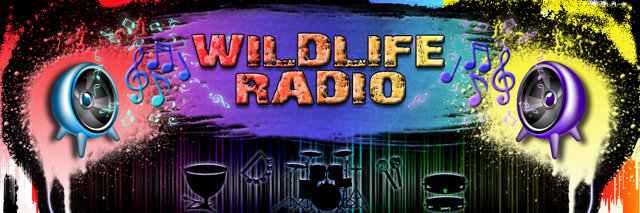 laut.fm – Wildlife Radio