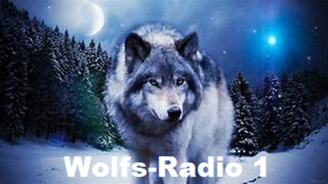 laut.fm – Wolfs Radio 1
