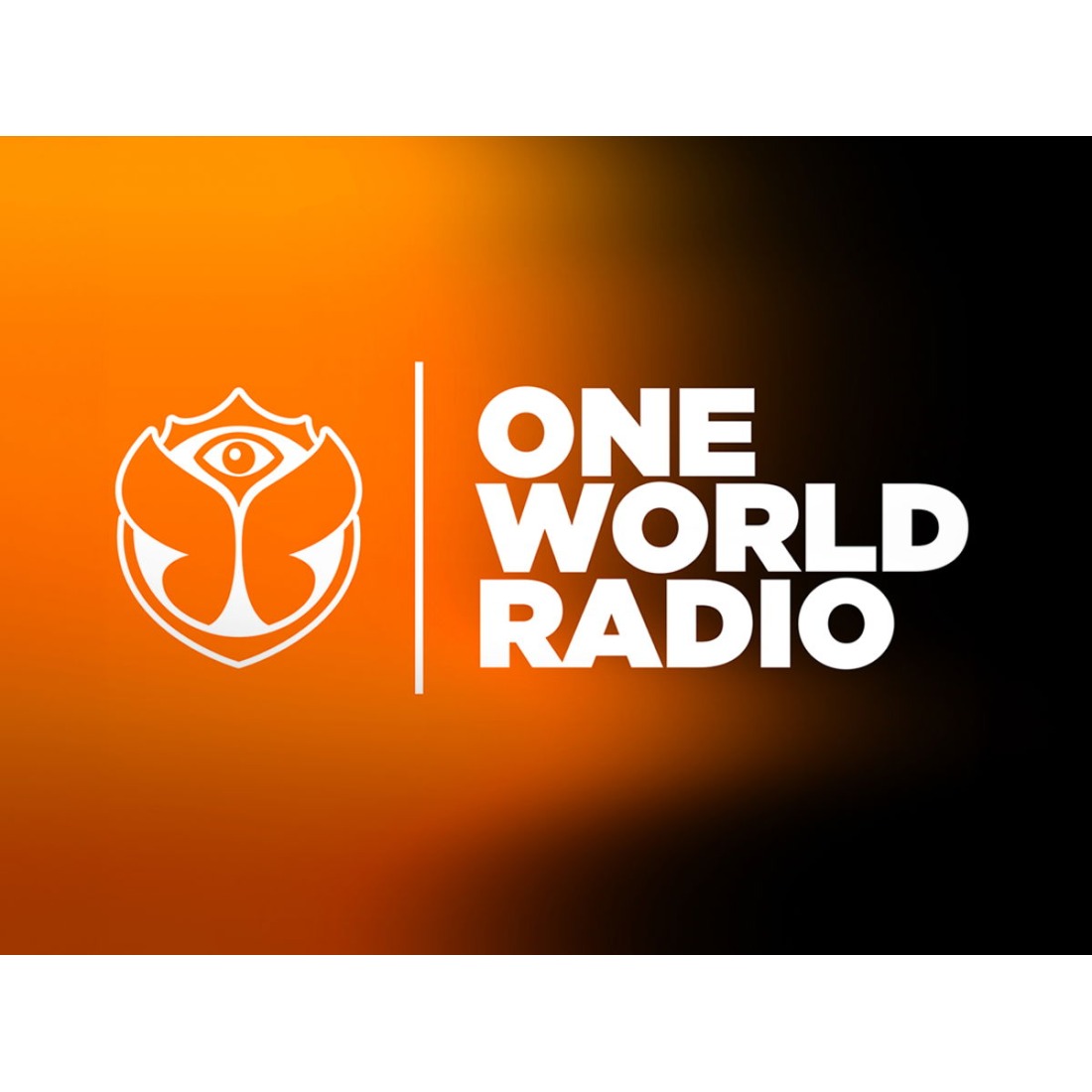 bigFM Tomorrowland One World Radio