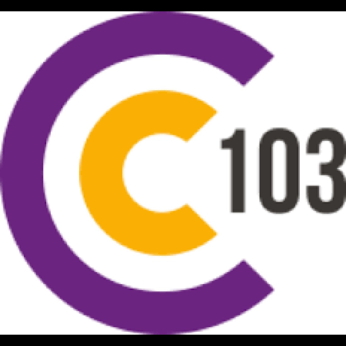 C 103