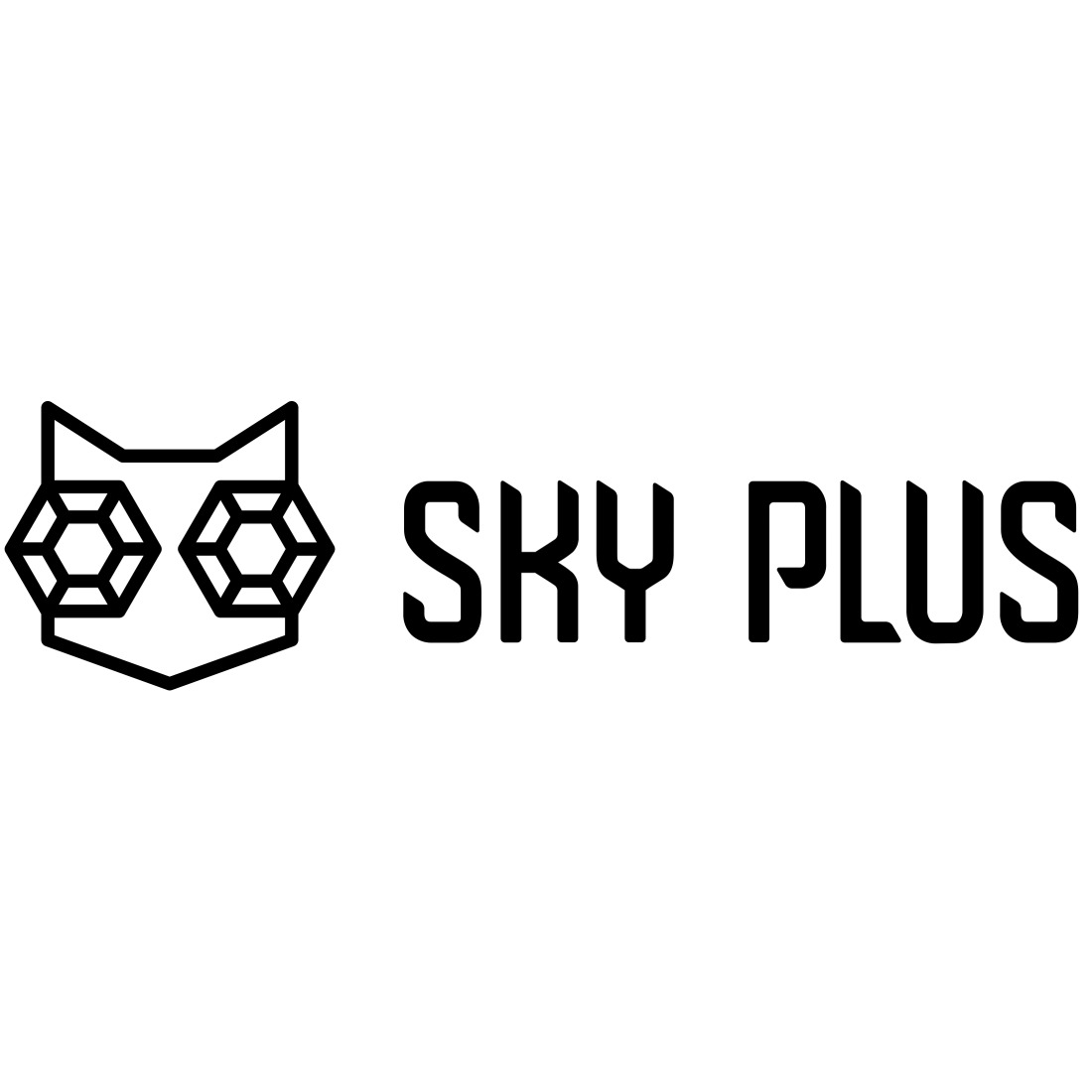 Sky Plus