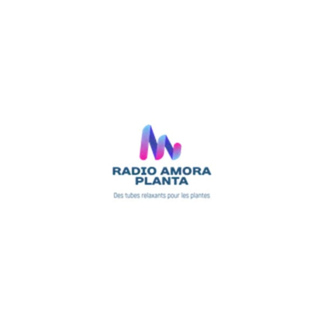 Radio Amora Planta