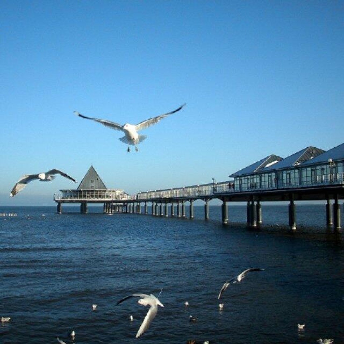 laut.fm – Baschepen