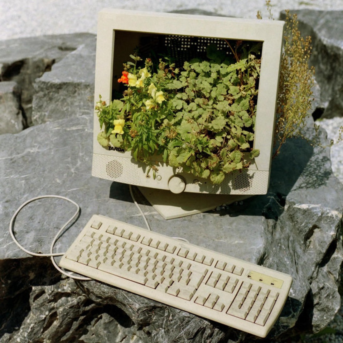 Digicore