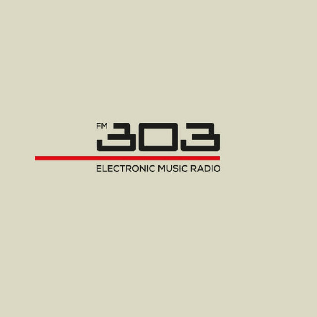 FM 303
