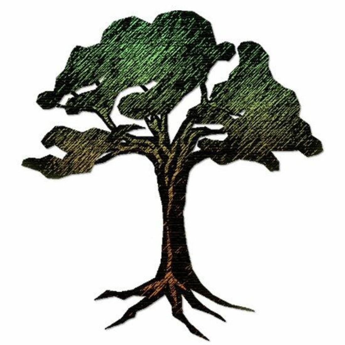 Freifunkterraconia