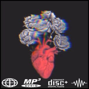 lofiFM