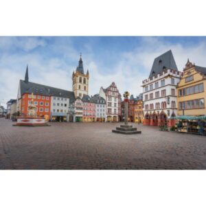 Moselradiotrier