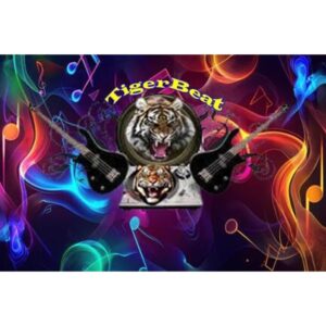 laut.fm - Tigerbeat Radio