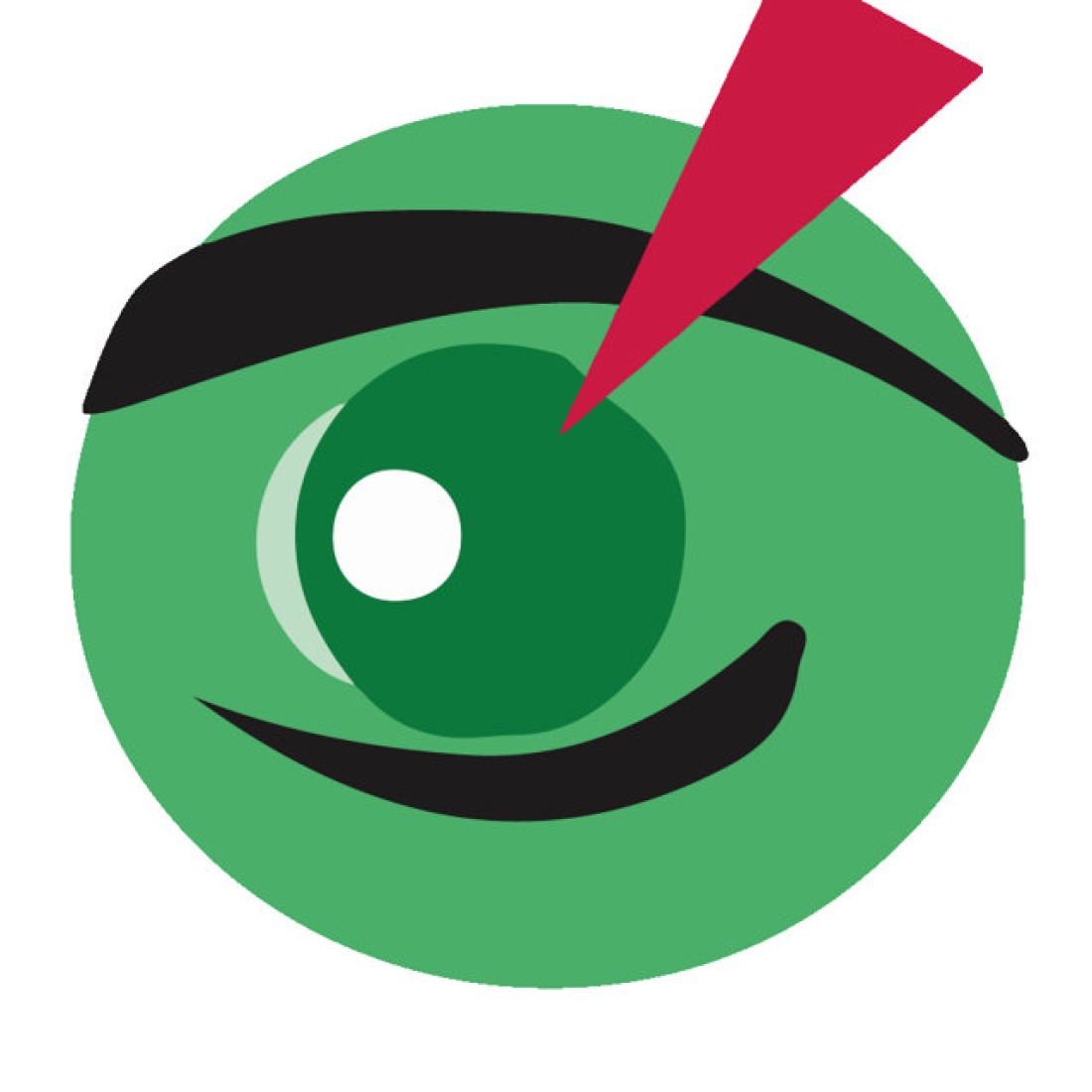 Visionciudadana