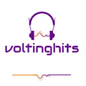 Voltinghits