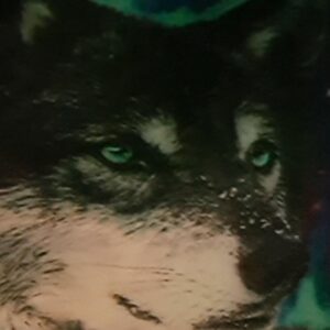 wolfsblut Radio