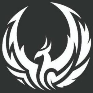 laut.fm – Radio Phoenixsystem