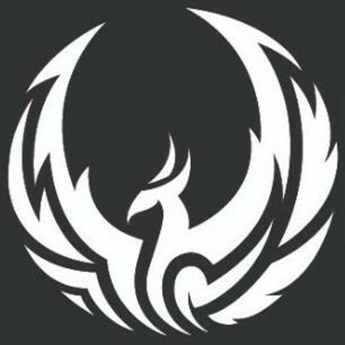 laut.fm – Radio Phoenixsystem