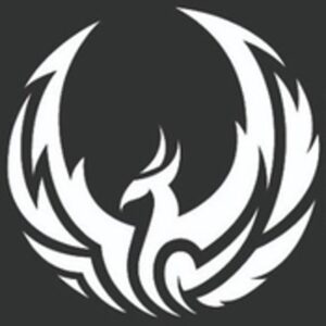 Radio Phoenix System